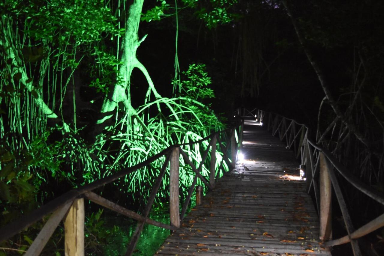 Uuttaaka Eco-Hotel Palomino Bagian luar foto