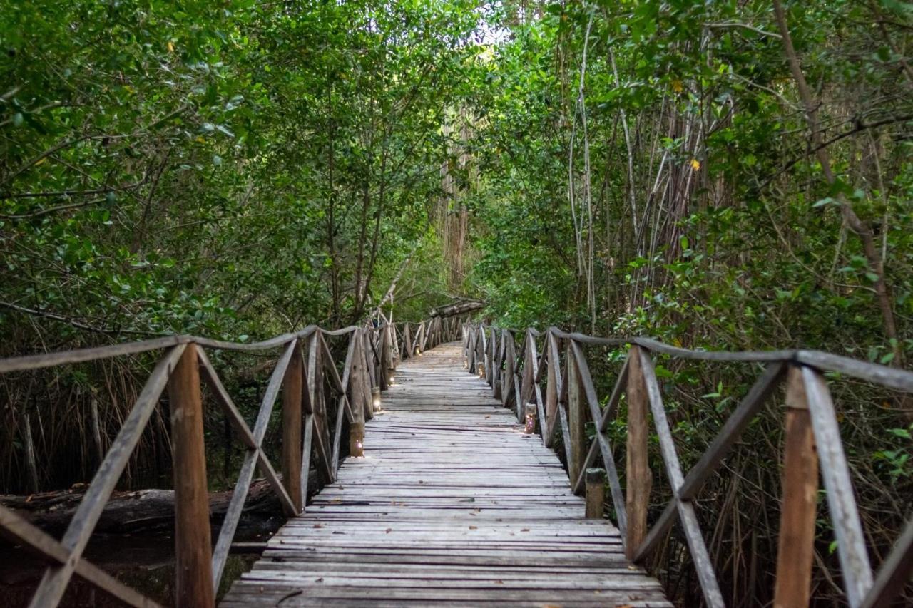 Uuttaaka Eco-Hotel Palomino Bagian luar foto