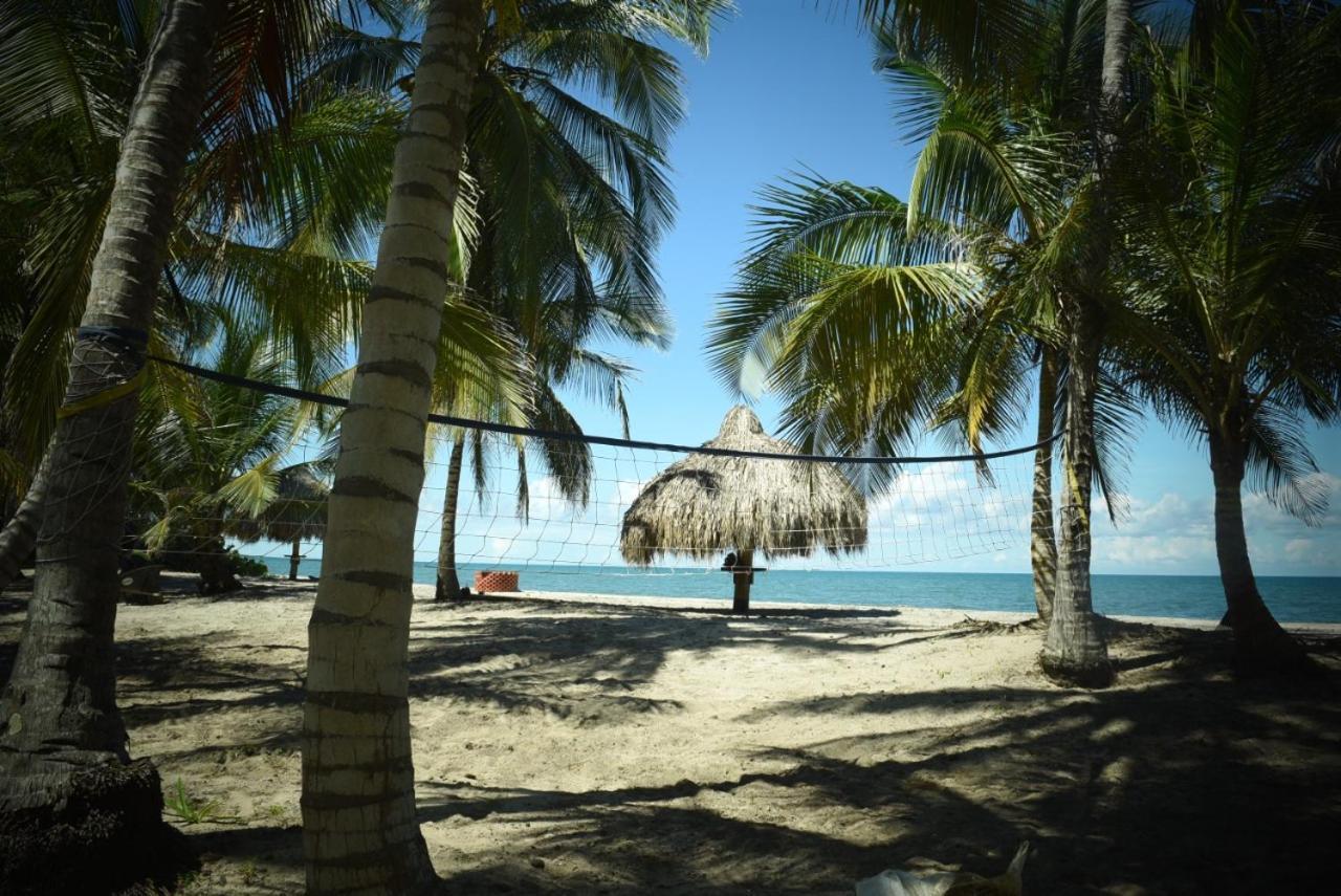 Uuttaaka Eco-Hotel Palomino Bagian luar foto